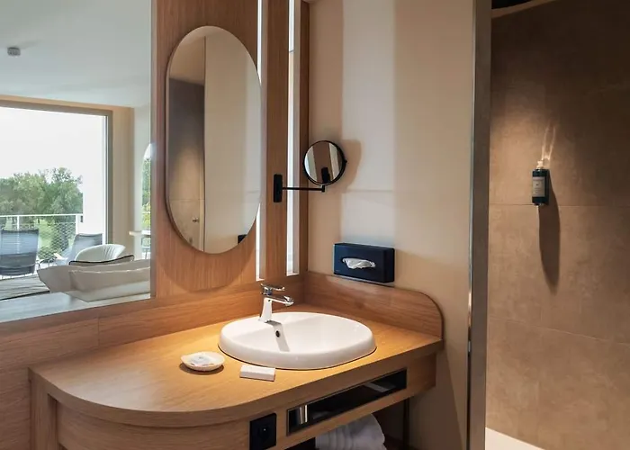 Hotel Horizon Massane 4*